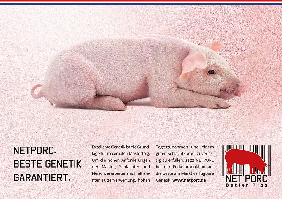 c.i.a.green, REULING INTERVAR B.V., NetPorc, Schweinegenetik, Anzeige Genetik