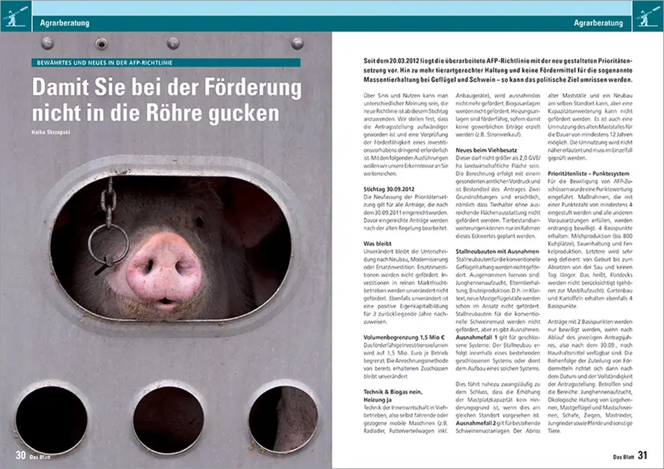 c.i.a.green, LMS Agrarberatung, Das Blatt, Wissenschaft, Wachstum, Artikel Schwein